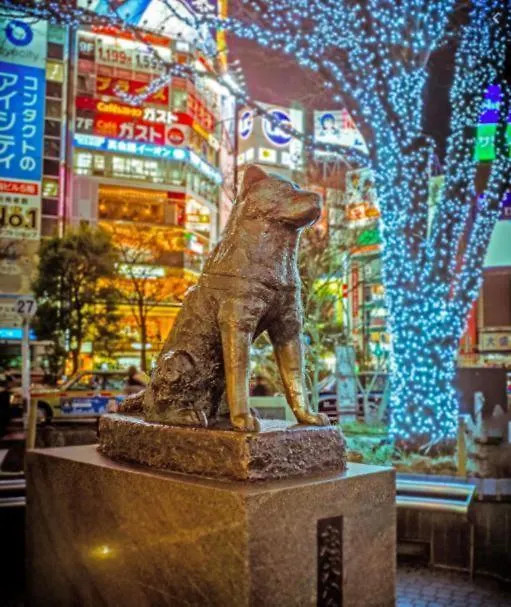 Studio Vacation Apartment, 5 Mins To Shibuya Crossing-Hachiko! Cs1 008 Tokyo 0*,  Japan